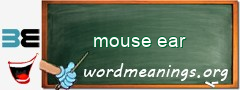 WordMeaning blackboard for mouse ear